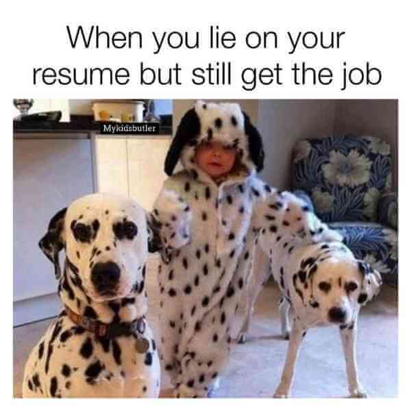 spotted dog resume meme