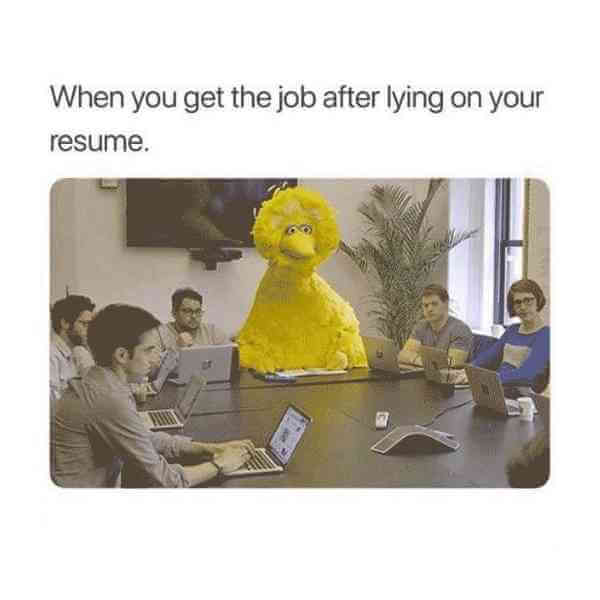 when you lie on your resume and get job meme sesame street