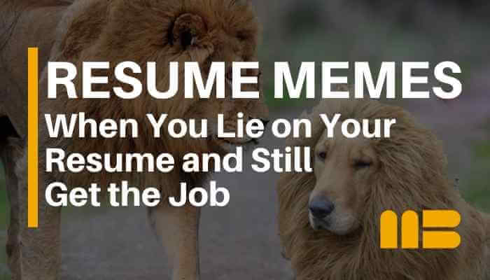 Blog post: Ridiculous When You Lie on Your Resume Memes