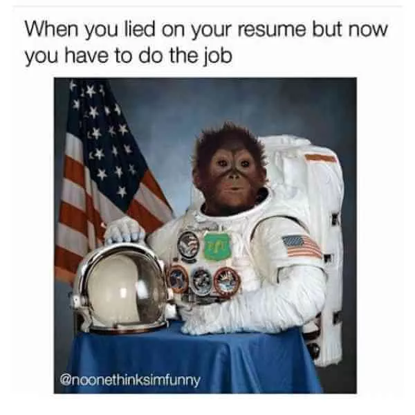 when you lie on your resume meme monkey