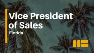 Vice President of Sales